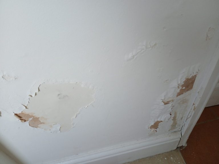 Visible moisture damage on an internal wall